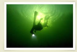 Photo of diver underwater